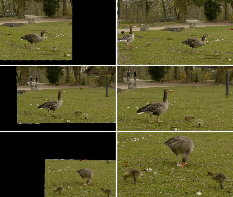 ../../../../../_images/movie-clip_tracking_clip_sidebar_stabilization_introduction_canvas.jpg